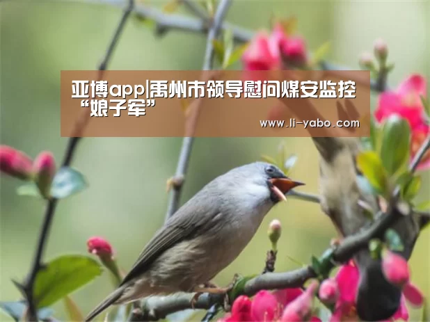 亚博app