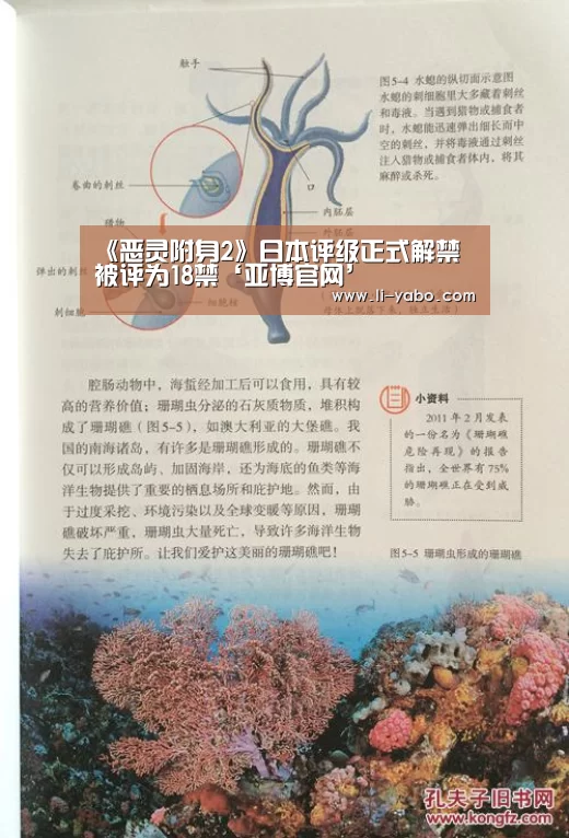 《恶灵附身2》日本评级正式解禁 被评为18禁‘亚博官网’