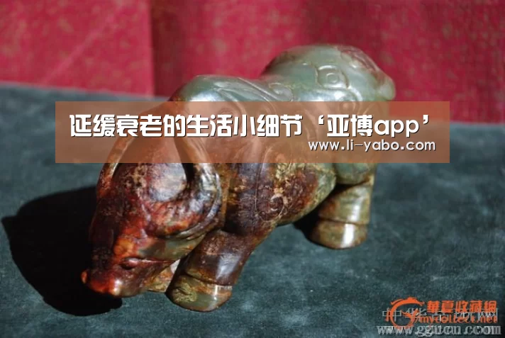 延缓衰老的生活小细节‘亚博app’(图2) 亚博体育