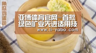 亚博体育官网-首批绿色矿业先进适用技术装备开始征集(图3) 亚博体育官网