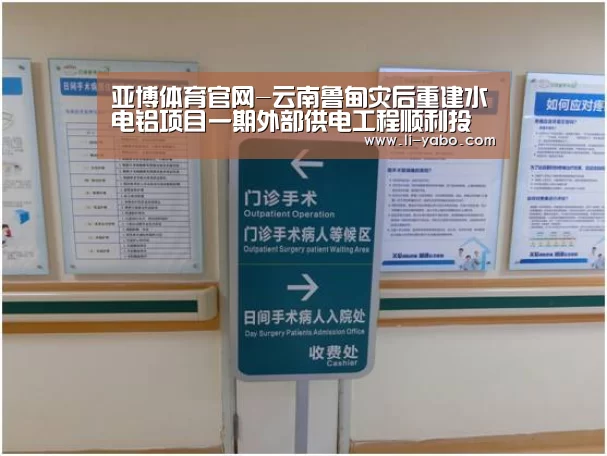 亚博体育官网-云南鲁甸灾后重建水电铝项目一期外部供电工程顺利投产(图2) 亚博体育官网